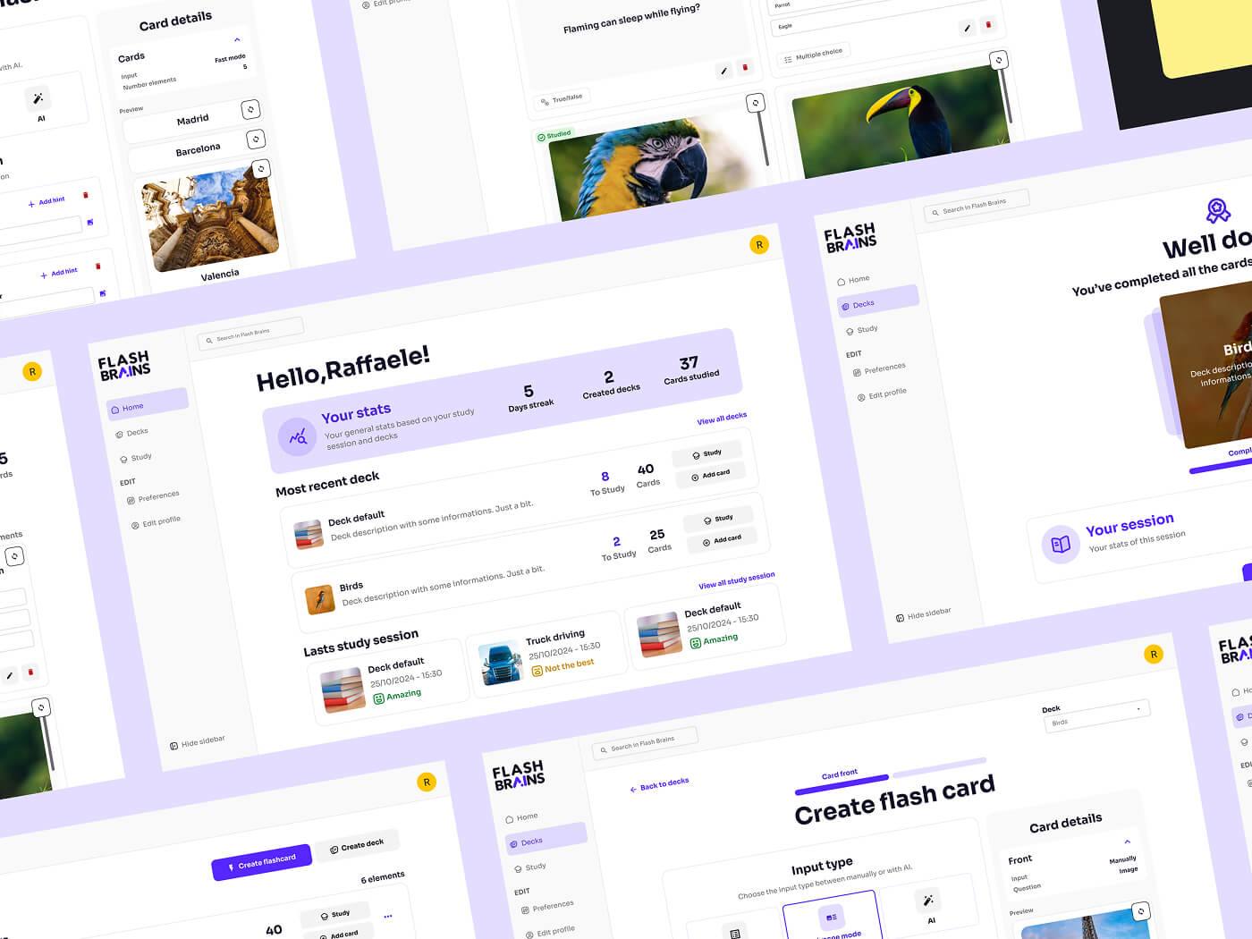Schermate della piattaforma Flashbrains